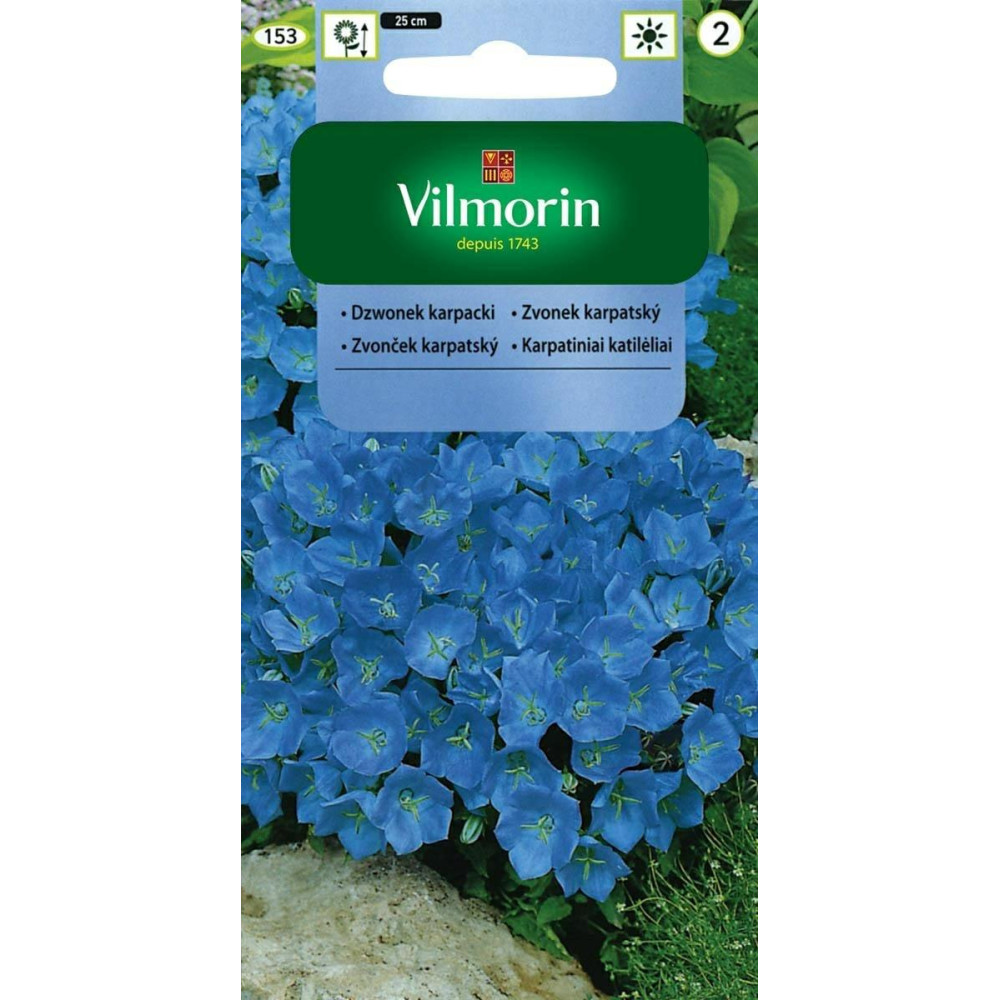 Dzwonek karpacki 0,5g - jasnoniebieski   Vilmorin                                                                               