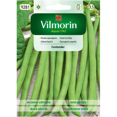 Fasola karłowa zielona Contender 30g     Vilmorin - 1
