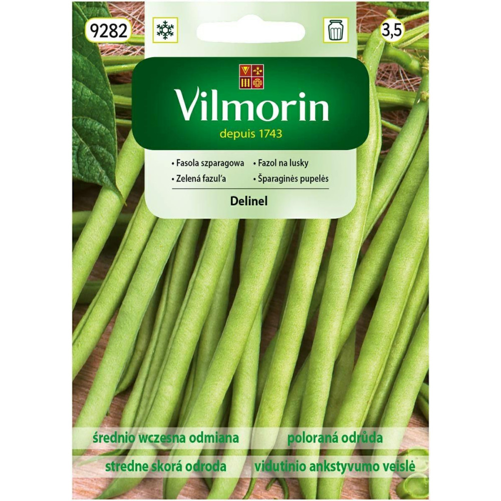 Fasola karłowa zielona Delinel 30g       Vilmorin - 1