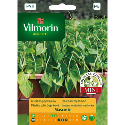Fasola karłowa zielona Mascotte 20g       doniczkowa Vilmorin Premium - 1