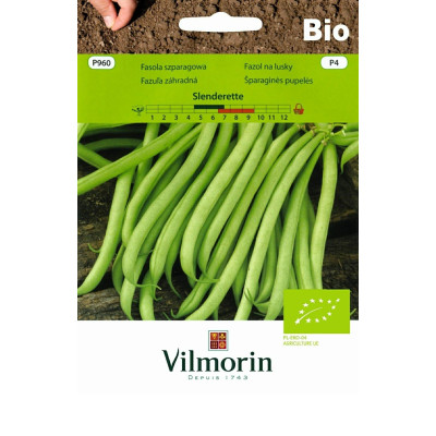 Fasola karłowa zielona Slenderet 20g     Vilmorin Bio - 1