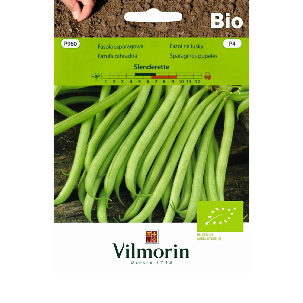 Fasola karłowa zielona Slenderet 20g     Vilmorin Bio - 1