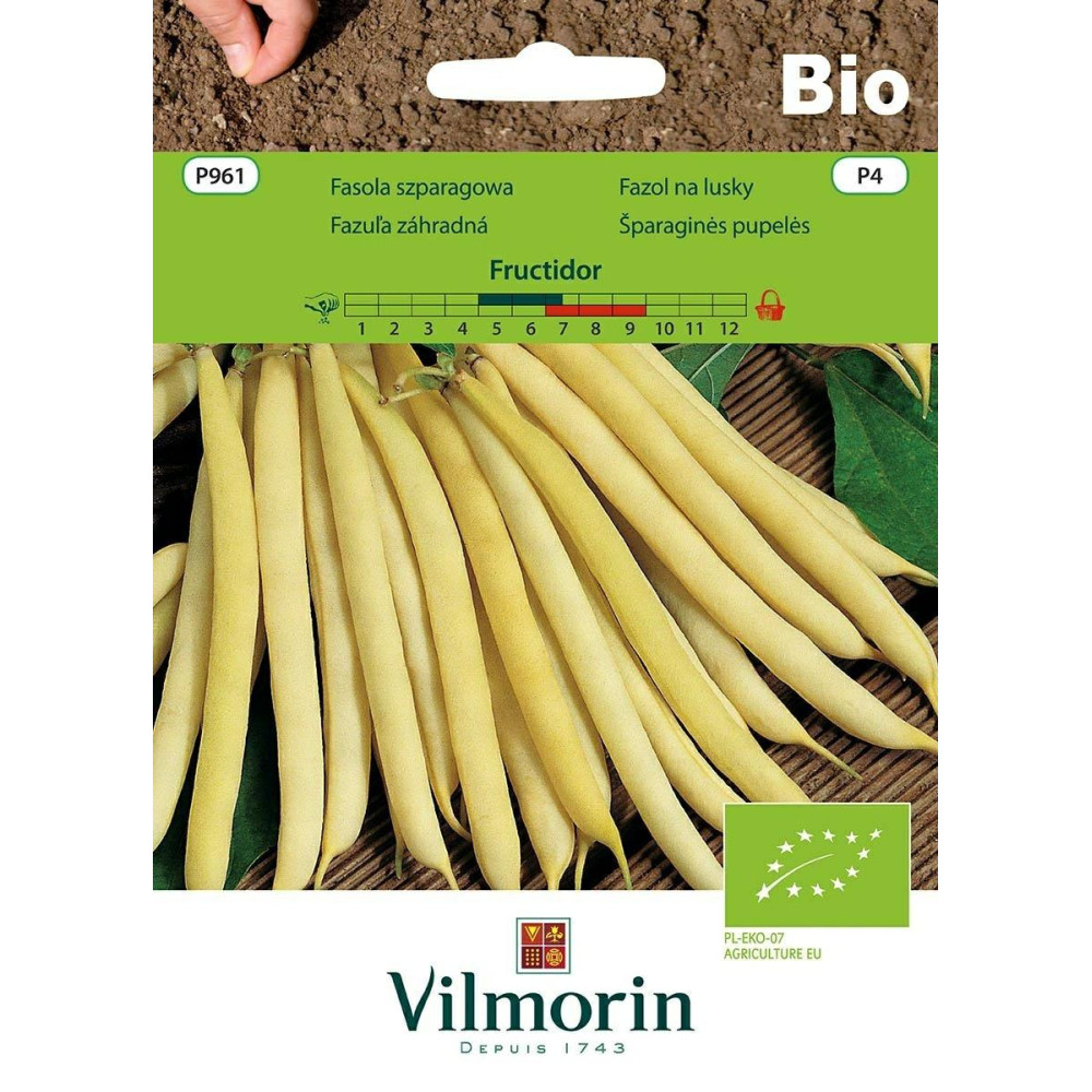 Fasola karłowa żółta Fructidor 20g       Vilmorin Bio - 1