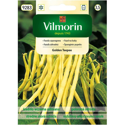 Fasola karłowa żółta Golden Teepee 30g   Vilmorin - 1