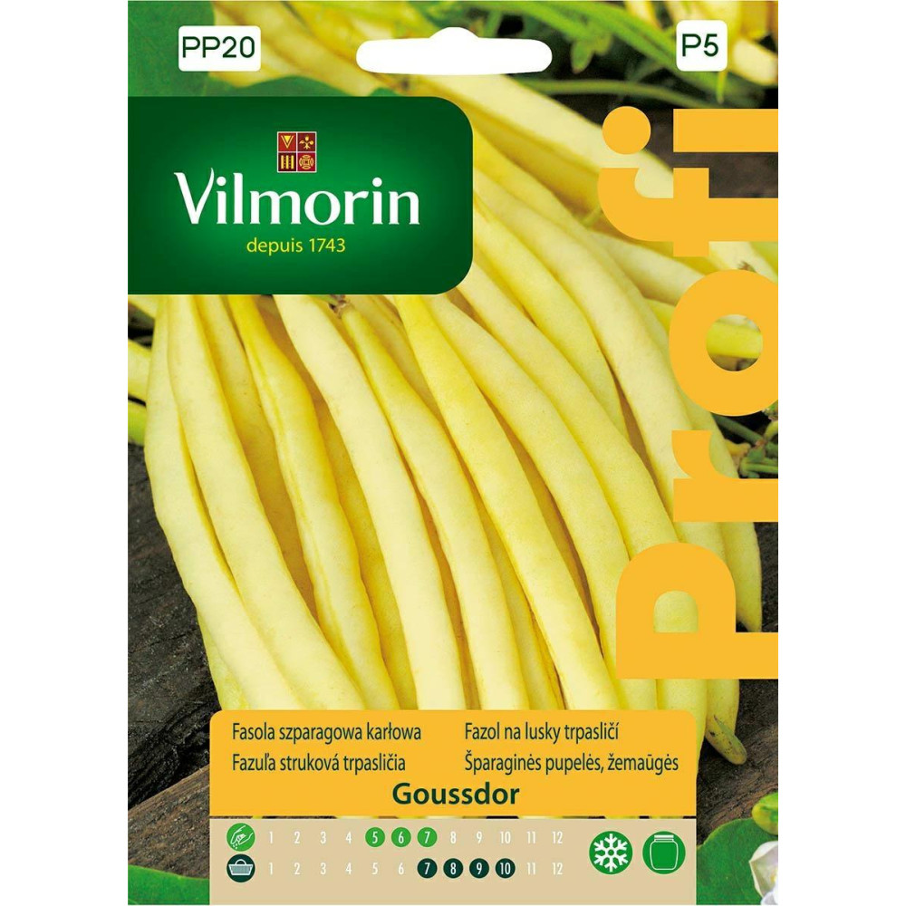 Fasola karłowa żółta Goussdor 30g        Vilmorin Premium - 1