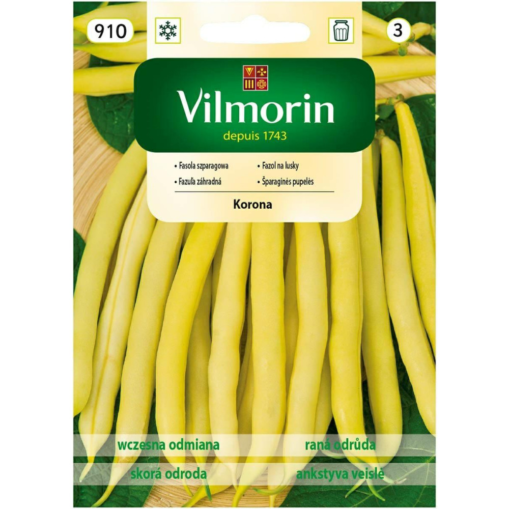 Fasola karłowa żółta Korona 30g Vilmorin - 1