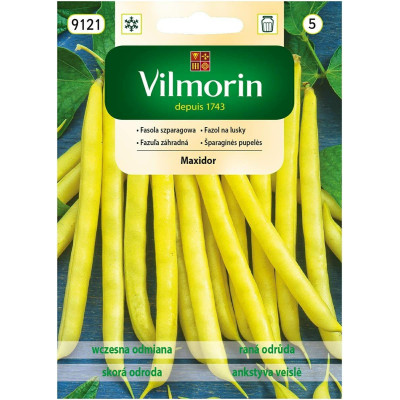 Fasola karłowa żółta Maxidor 30g         Vilmorin - 1