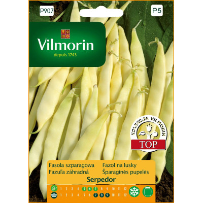 Fasola karłowa żółta Serpedor 30g        Vilmorin Premium - 1
