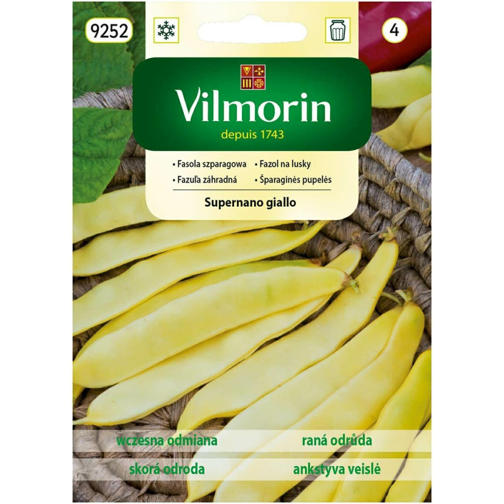 Fasola karłowa żółta Supernano Giallo    30g  - płaski strąk, bezwłóknista Vilmorin - 1