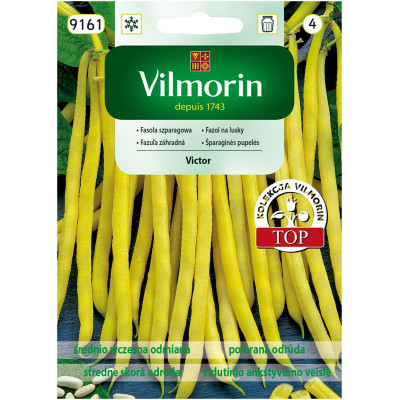Fasola karłowa żółta Victor 20g Vilmorin - 1