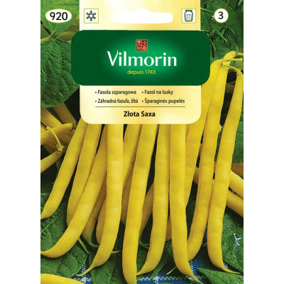 Fasola karłowa żółta Złota Saxa 30g      Vilmorin - 1