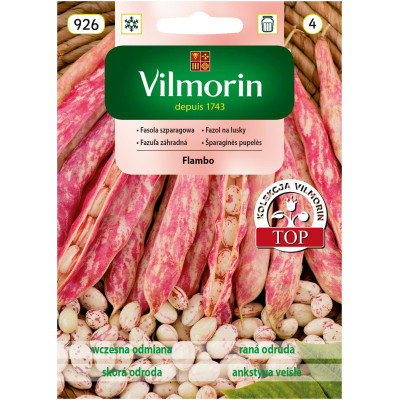 Fasola szparagowa Flambo 30g nakrapiana  Vilmorin - 1