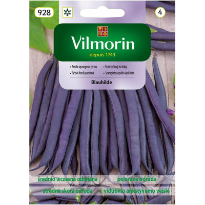 Fasola tyczna fioletowa Blauhilde 10g    Vilmorin - 1