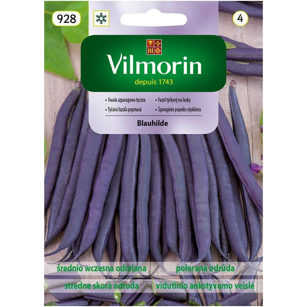 Fasola tyczna fioletowa Blauhilde 10g    Vilmorin - 1