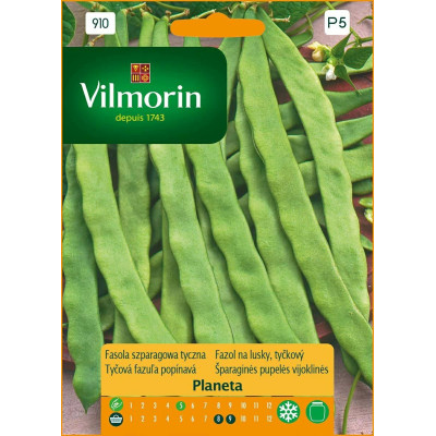 Fasola tyczna zielona Planeta 10g        Vilmorin Premium - 1