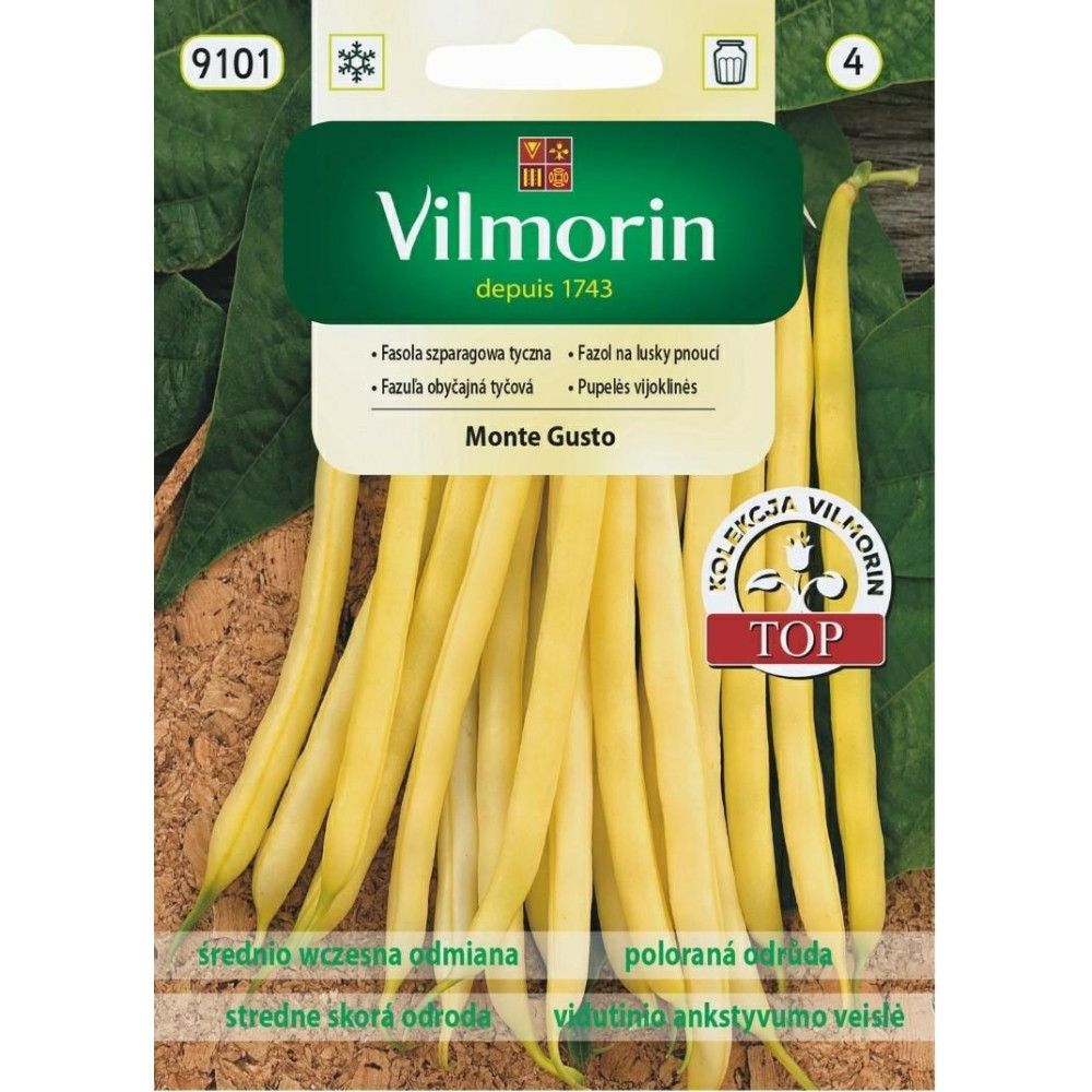 Fasola tyczna żółta Monte Gusto 10g      Vilmorin - 1
