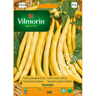 Fasola tyczna żółta Ramdor 10g Vilmorin  Premium - 1
