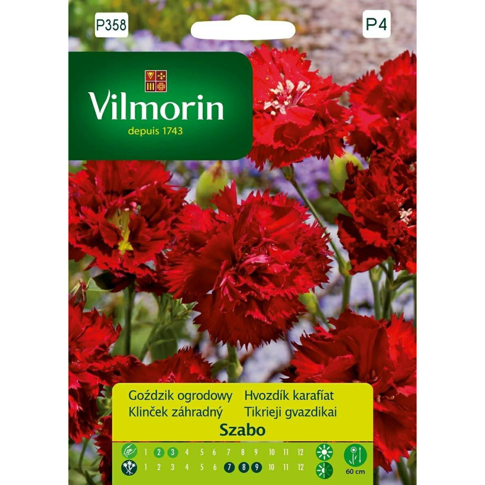 Goździk ogrodowy Szabo Picotte 0,5g       czerwony Vilmorin Premium - 1