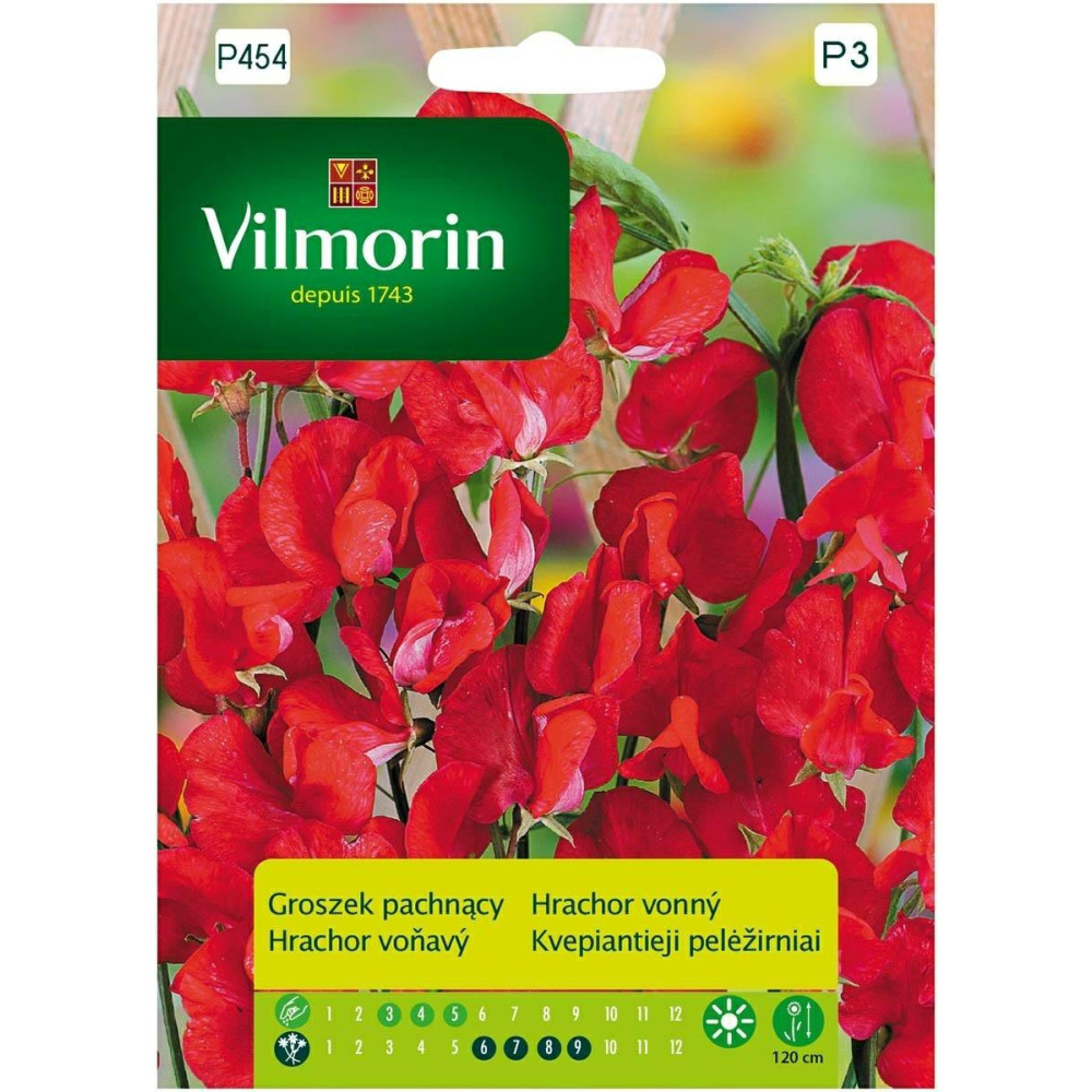 Groszek pachnący 2g  czerwony Vilmorin   Premium - 1