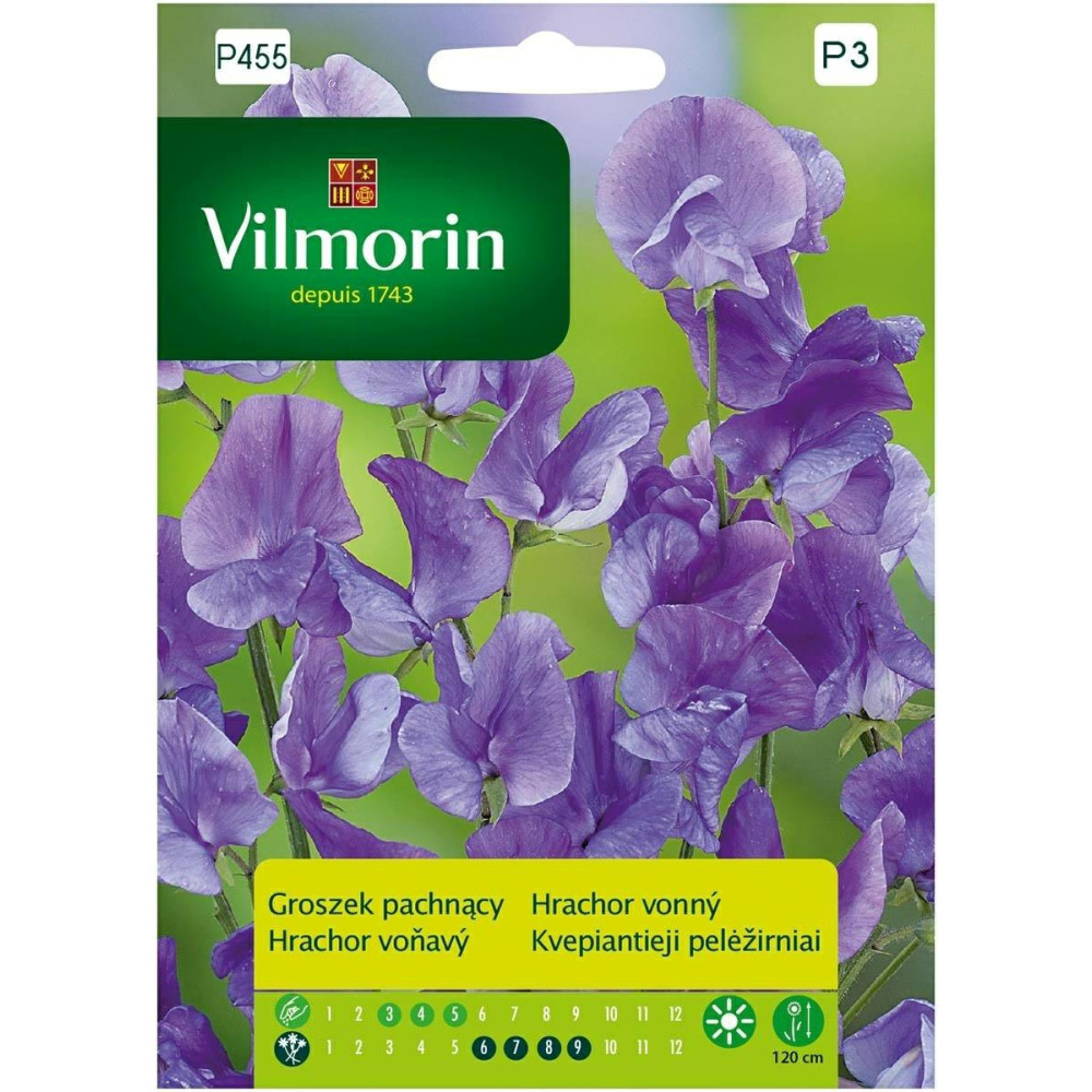 Groszek pachnący 2g niebieski Vilmorin   Premium - 1