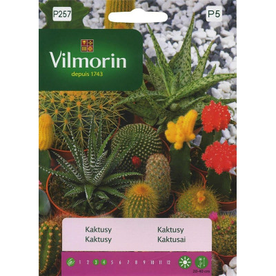 Kaktusy 0,3g mieszanka Vilmorin Premium - 1