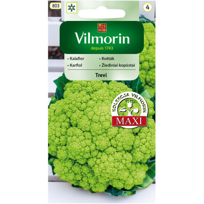 Kalafior zielony Trevi 0,1g Vilmorin - 1