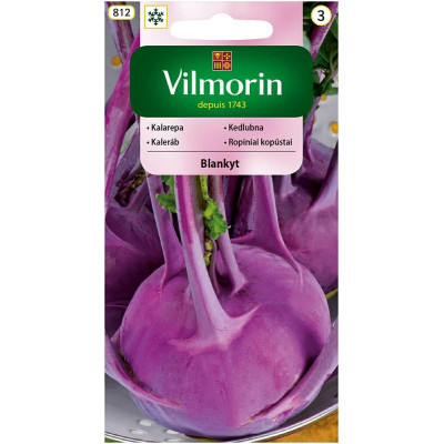 Kalarepa fioletowa Blankyt 2g Vilmorin - 1