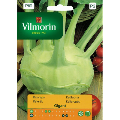 Kalarepa Gigant 2g Vilmorin Premium - 1
