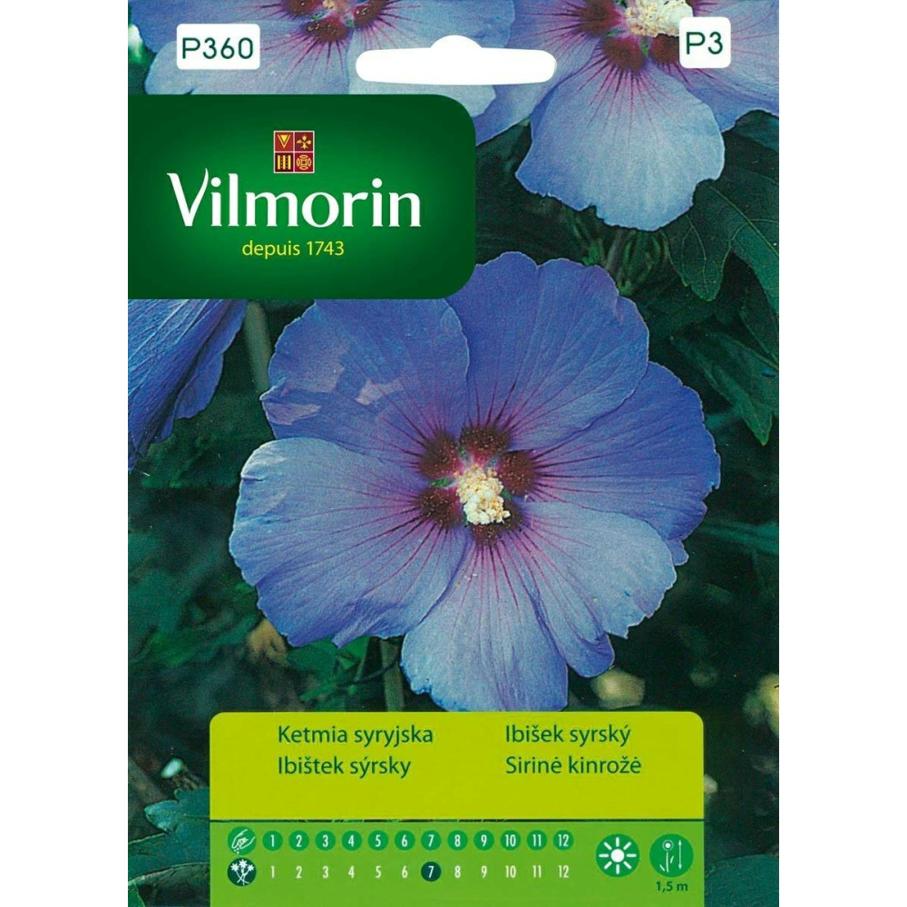 Ketmia syryjska niebieska 0,5g Vilmorin  Premium - 1