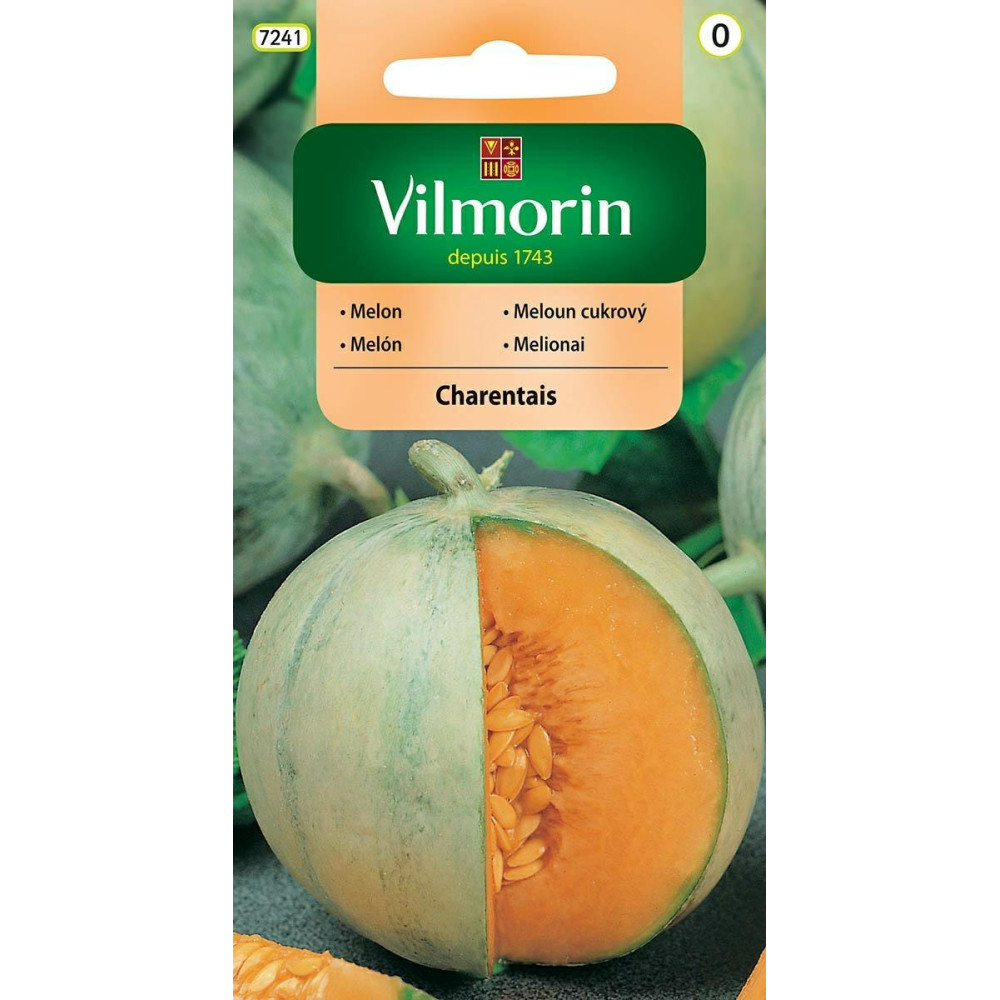 Melon Charentais 1g Vilmorin - 1