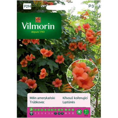 Milin Amerykański 0,3g Vilmorin Premium - 1