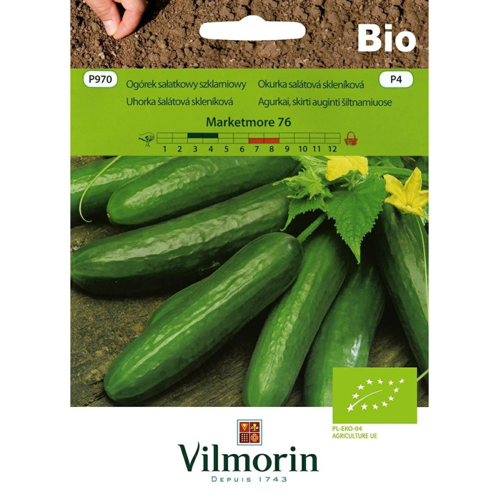 Ogórek gruntowy Marketmore  5g sałatkowy Vilmorin Bio - 1