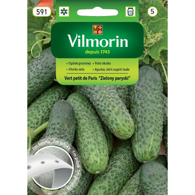 Ogórek gruntowy Petit de Paris 7m -      warzywa na taśmie Vilmorin - 1
