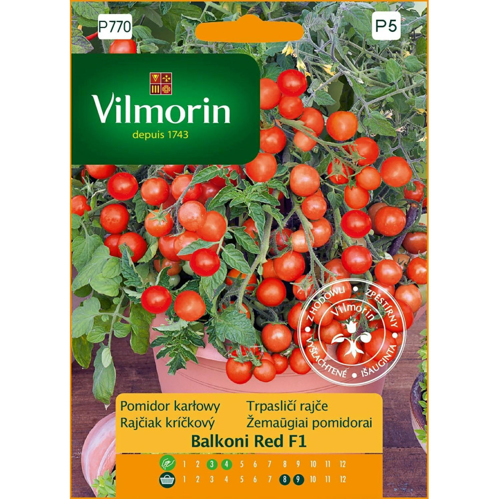 Pomidor Balkoni Red F1 0,1g / balkonowy/ Vilmorin Premium - 1