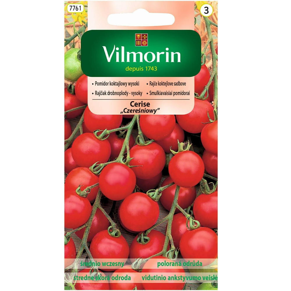 Pomidor gruntowy Cerise 1g / koktajlowy  (Czereśniowy) Vilmorin - 1