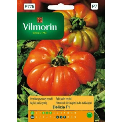 Pomidor gruntowy i pod osłony Delizia F1 0,1g / wysoki Vilmorin Premium - 1