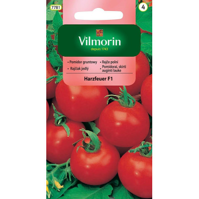 Pomidor gruntowy i pod osłony Harzfeuer  0,3g  wysoki Vilmorin - 1