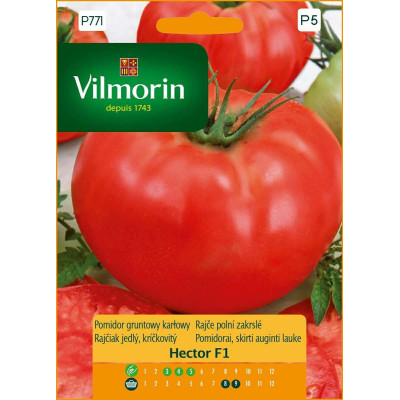 Pomidor gruntowy i pod osłony Hector F1   0,1g / karłowy Vilmorin Premium - 1
