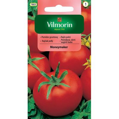 Pomidor gruntowy i pod osłony Moneymaker 0,5g wysoki Vilmorin - 1