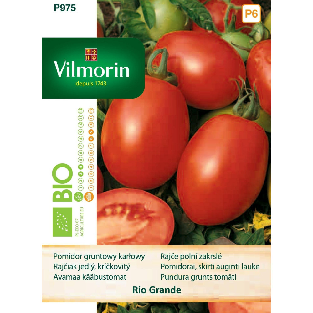 Pomidor gruntowy i pod osłony Rio Grande 0,5g  karłowy, owalny Vilmorin Bio - 1