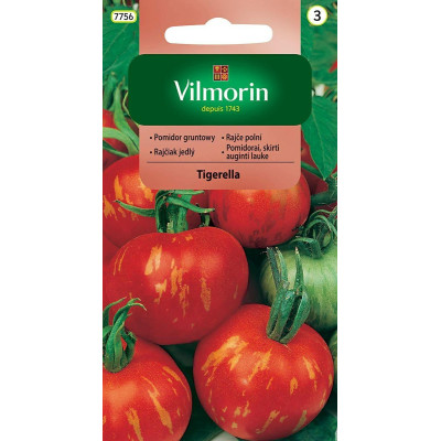 Pomidor gruntowy i pod osłony Tigerella  0,5g wysoki Vilmorin - 1