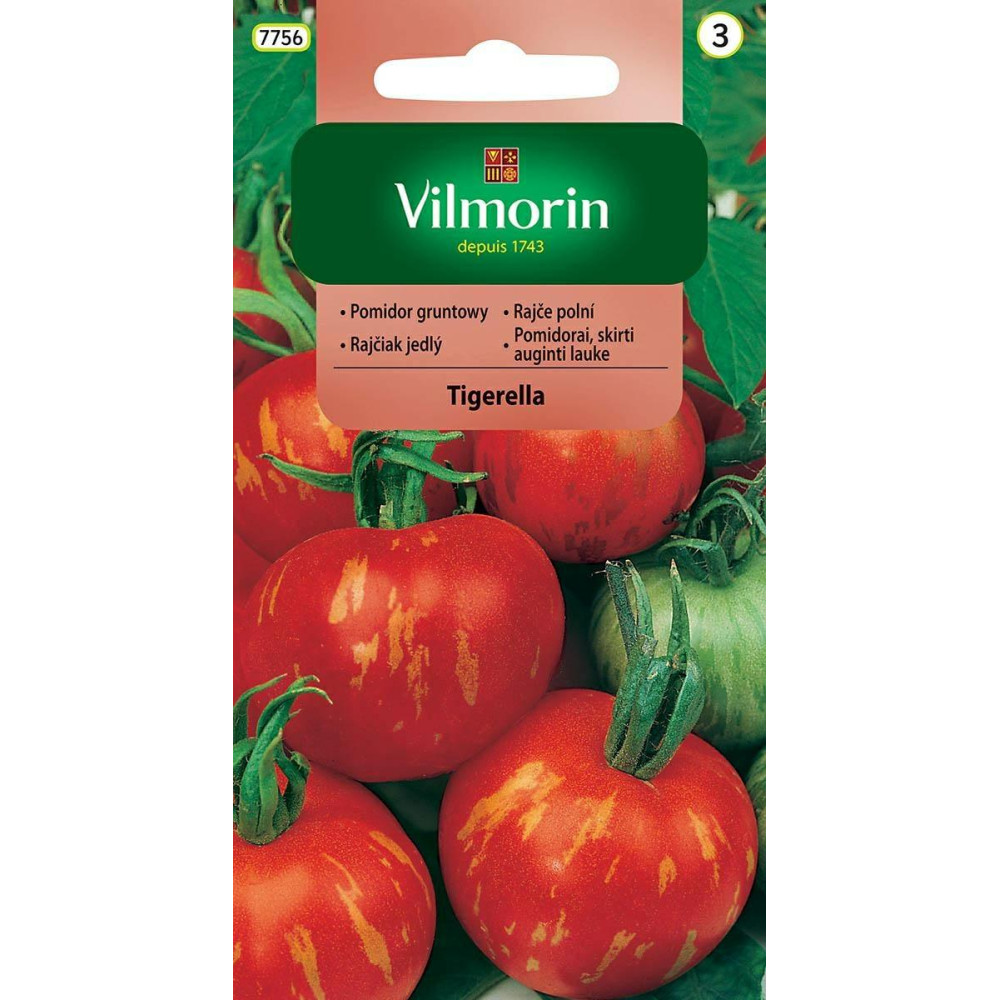 Pomidor gruntowy i pod osłony Tigerella  0,5g wysoki Vilmorin - 1