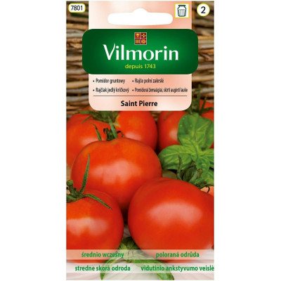 Pomidor gruntowy karłowy Saint Pierre 1g Vilmorin - 1