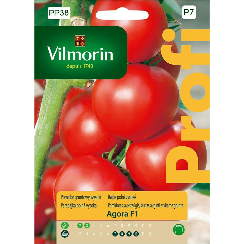 Pomidor gruntowy wysoki Agora F1 0,2g    Vilmorin Premium - 1