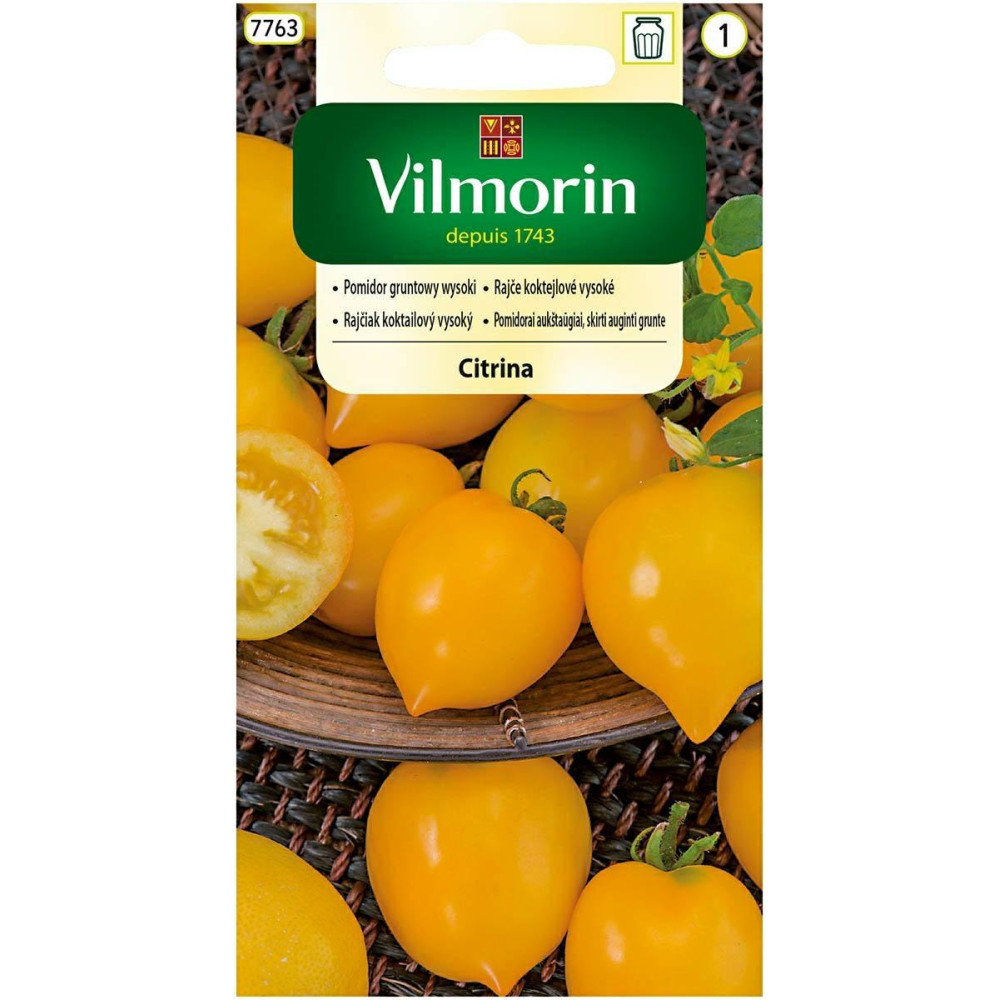 Pomidor gruntowy wysoki Citrina 0,3g     Vilmorin - 1
