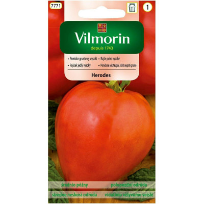 Pomidor gruntowy wysoki Herodes 0,3g     Vilmorin - 1