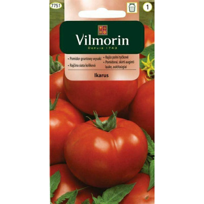 Pomidor gruntowy wysoki Ikarus 0,5g      Vilmorin - 1