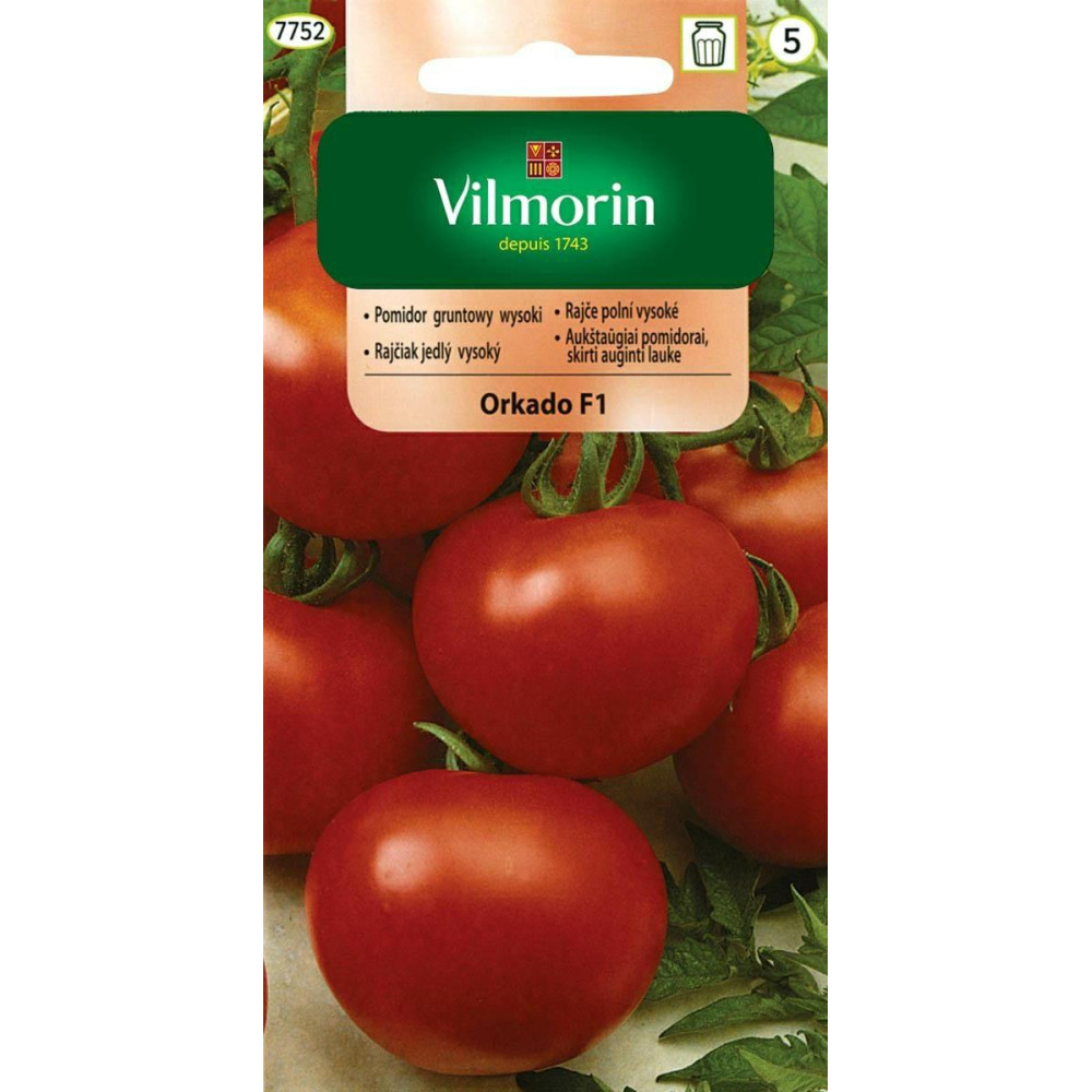 Pomidor gruntowy wysoki Orkado F1 0,2g   Vilmorin - 1