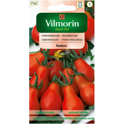 Pomidor gruntowy wysoki Radana 0,3g  /   koktajlowy Vilmorin - 1