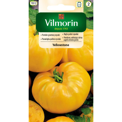 Pomidor gruntowy wysoki Yellowstone 0,2g Vilmorin - 1